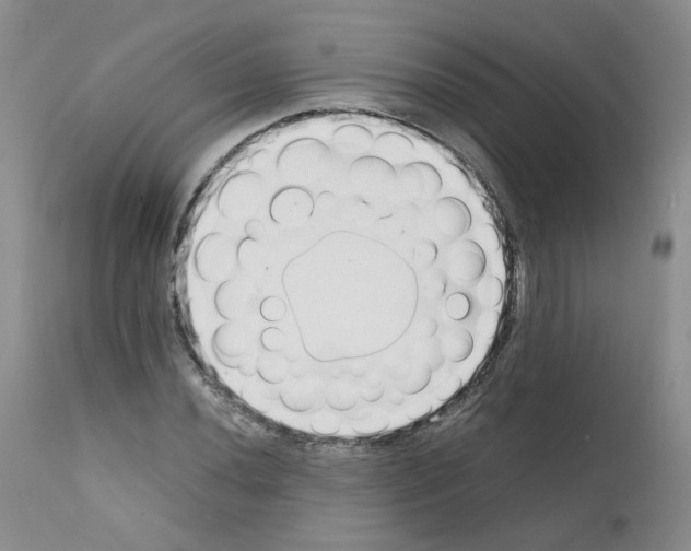 X0000111781020200909031128