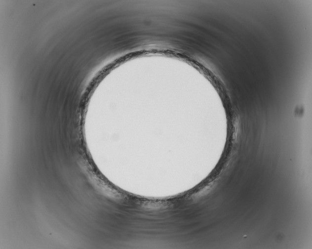 X0000111781021200909031128