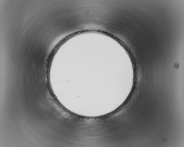 X0000111781022200909031128