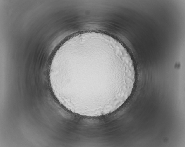 X0000111781023200909031128