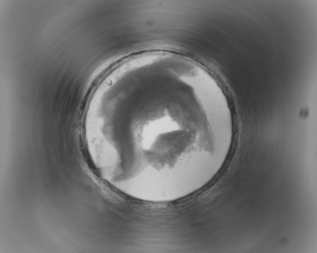 X0000111781024200909031128