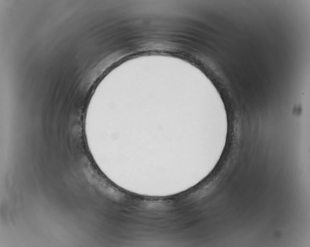 X0000111781025200909031128