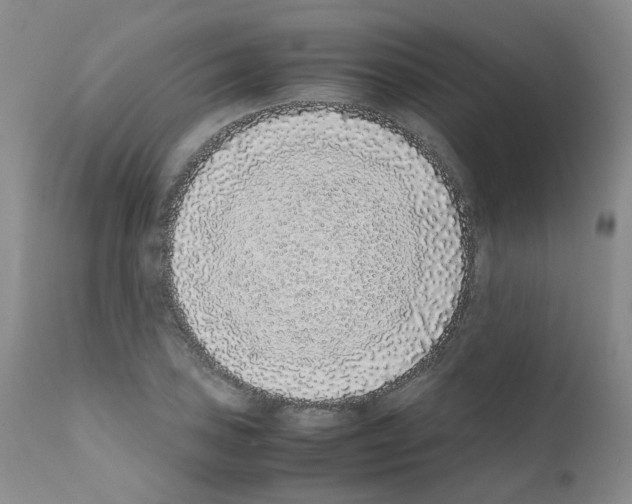 X0000111781027200909031128