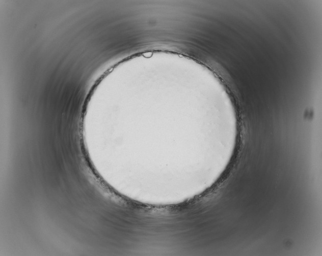 X0000111781028200909031128
