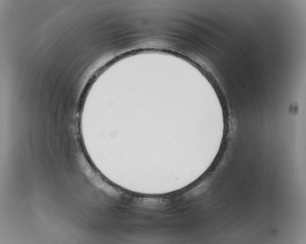 X0000111781029200909031128