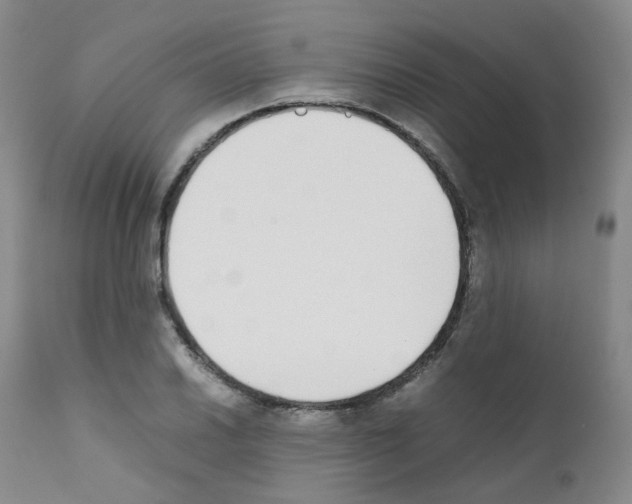 X0000111781030200909031128