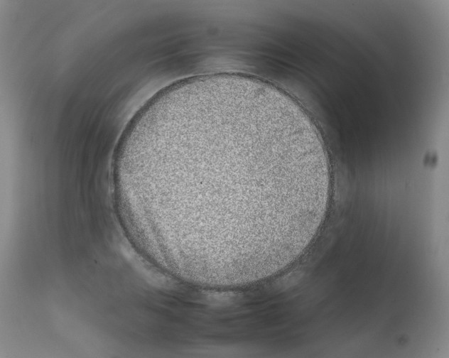 X0000111781031200909031128