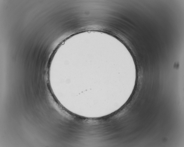 X0000111781034200909031128