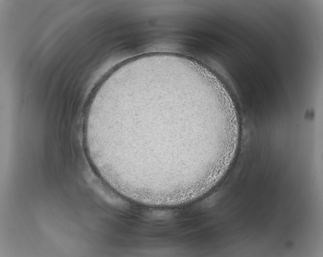 X0000111781035200909031128