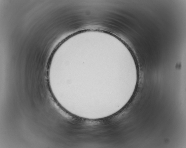 X0000111781037200909031128