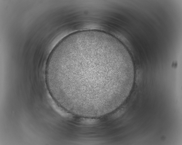 X0000111781039200909031128