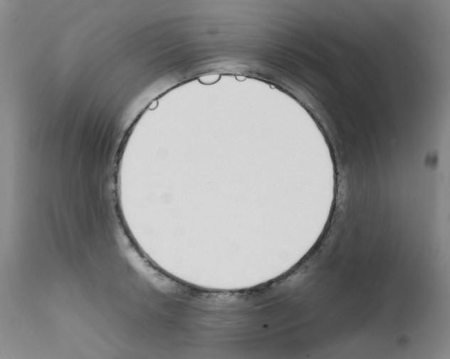 X0000111781042200909031128