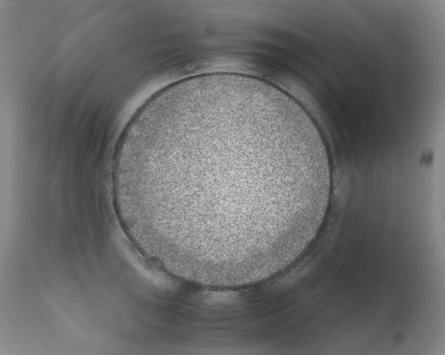 X0000111781043200909031128