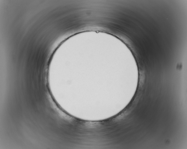 X0000111781046200909031128