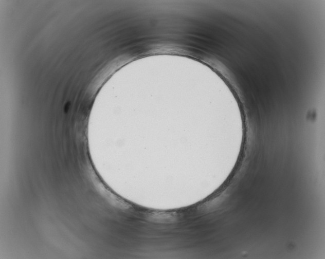X0000111781049200909031128