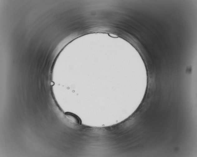 X0000111781050200909031128