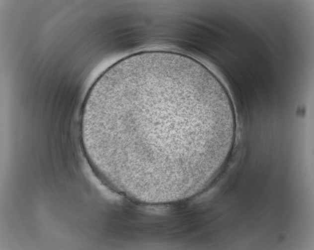 X0000111781053200909031128