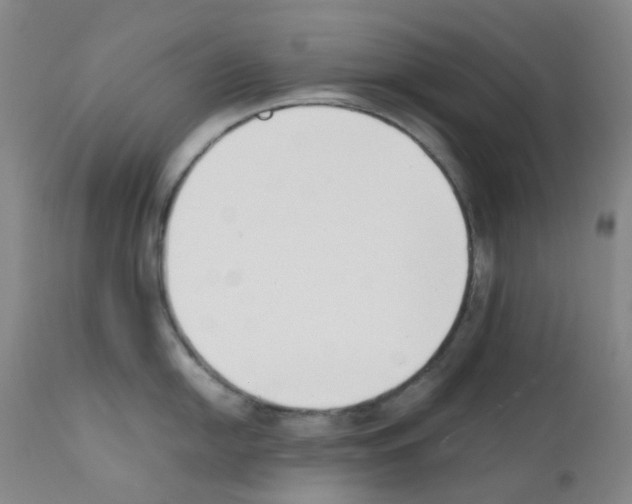 X0000111781054200909031128