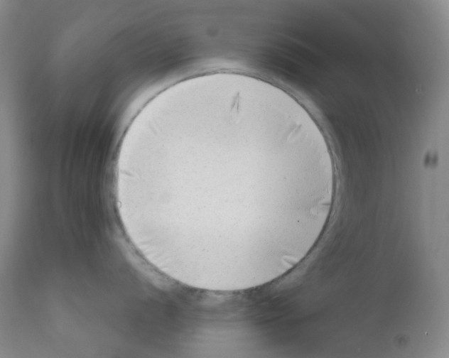 X0000111781056200909031129