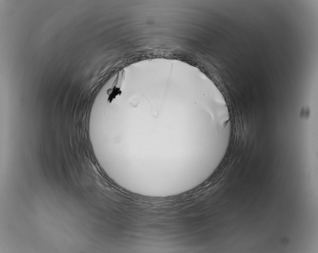 X0000111781060200909031128