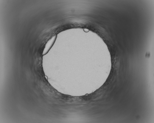 X0000111781061200909031128