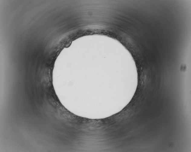 X0000111781062200909031128