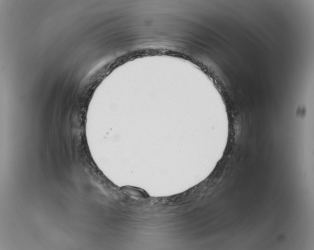X0000111781064200909031128
