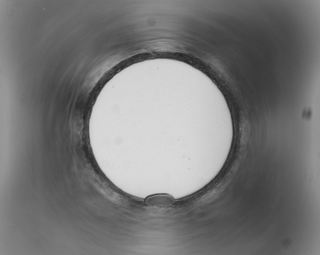 X0000111781065200909031128