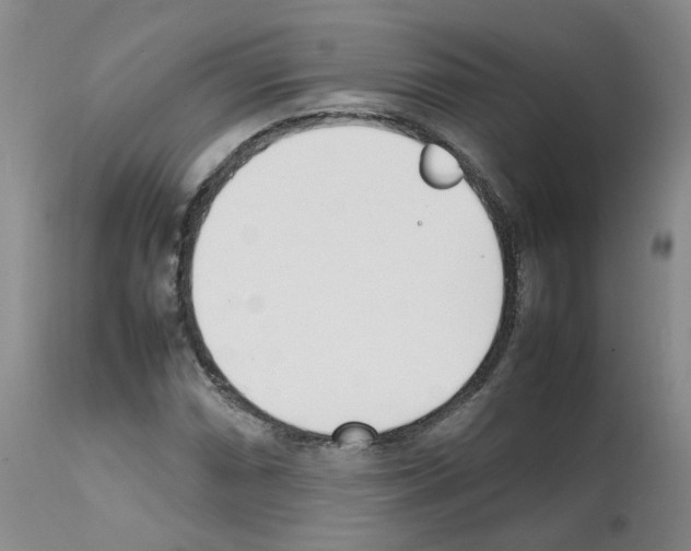 X0000111781066200909031128