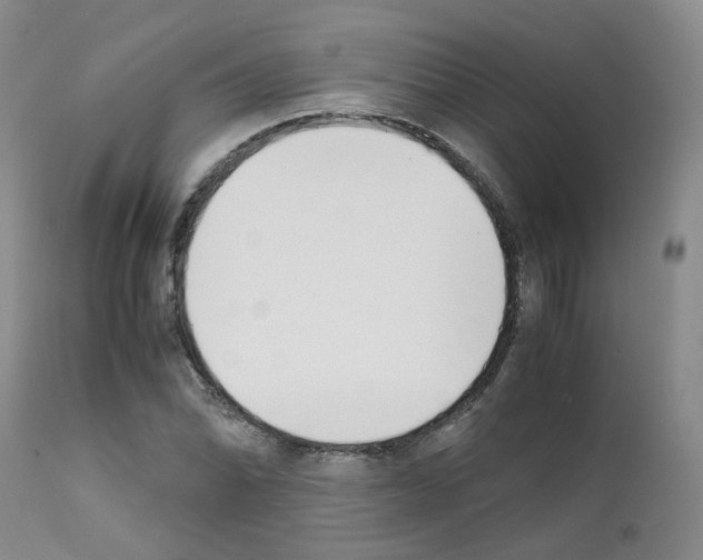 X0000111781070200909031128