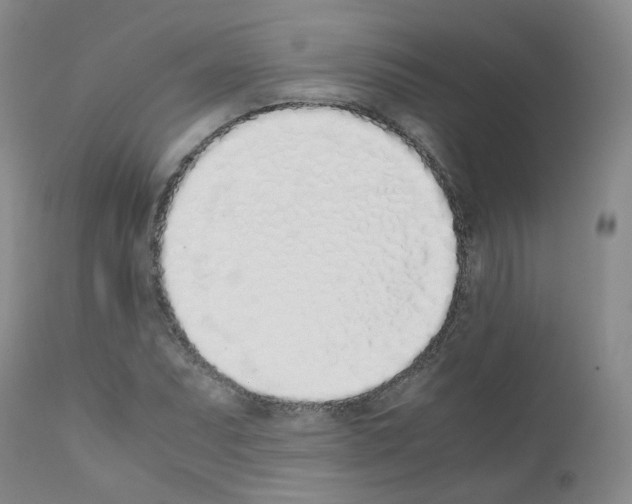 X0000111781071200909031128