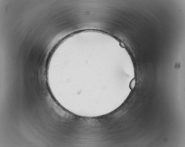 X0000111781072200909031128