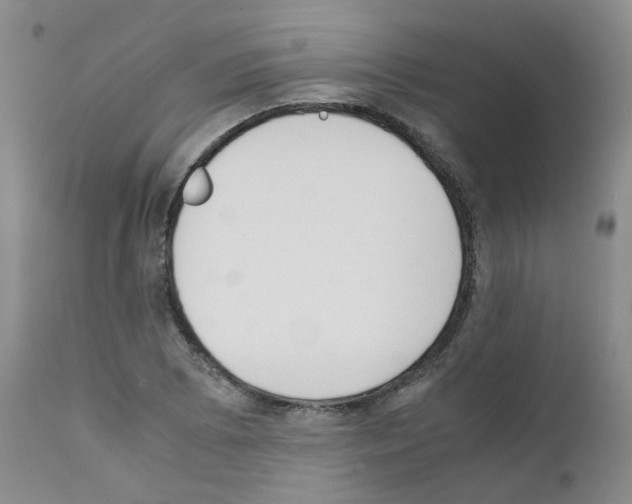 X0000111781073200909031128