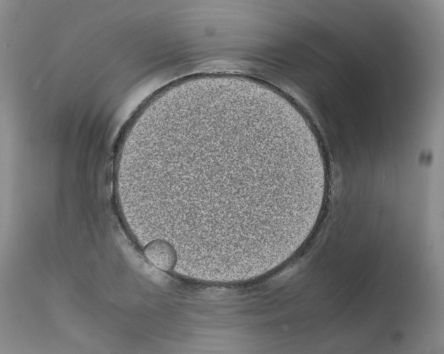 X0000111781075200909031128