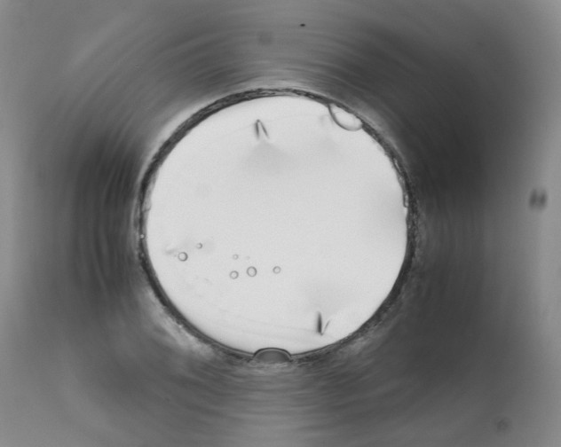 X0000111781076200909031128