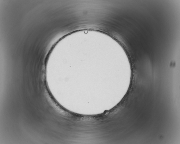 X0000111781079200909031128