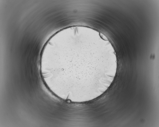 X0000111781084200909031127