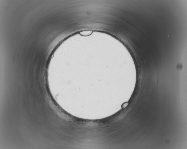X0000111781085200909031127