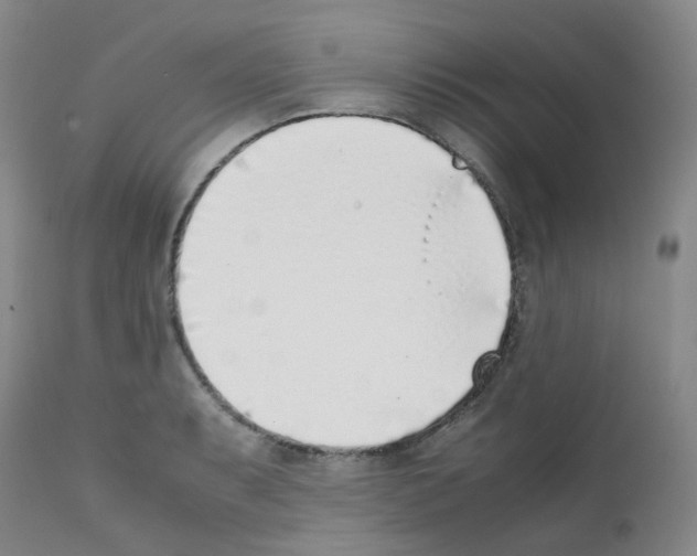 X0000111781087200909031127