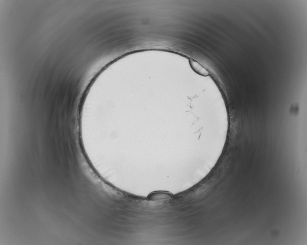 X0000111781088200909031127