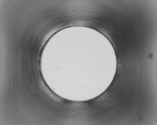 X0000111781091200909031127