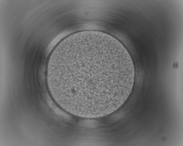 X0000111781094200909031127