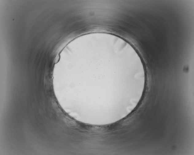 X0000111781097200909031127