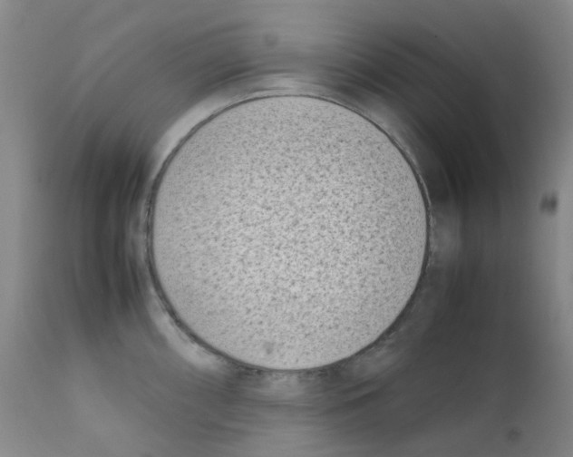 X0000111781098200909031127