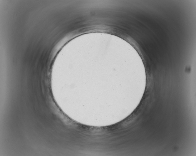 X0000111781099200909031127