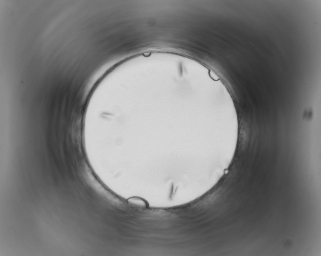 X0000111781100200909031127