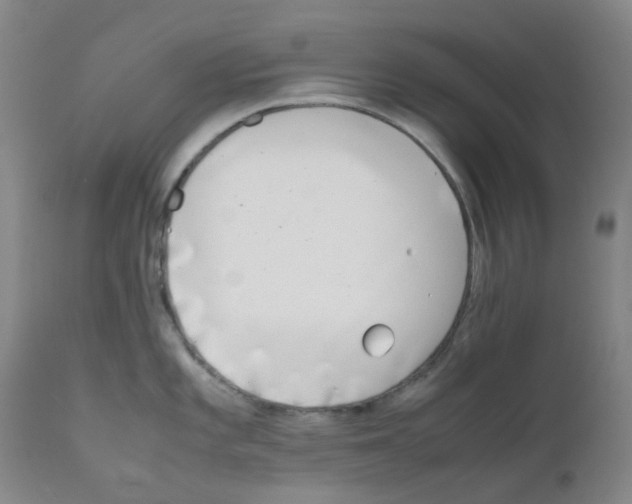 X0000111781101200909031127