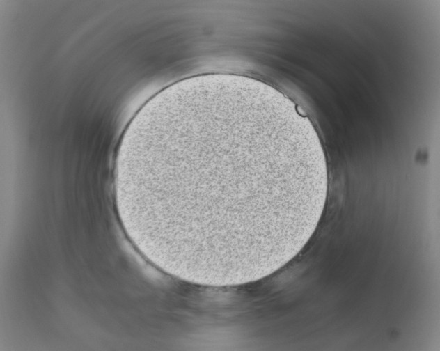 X0000111781103200909031127