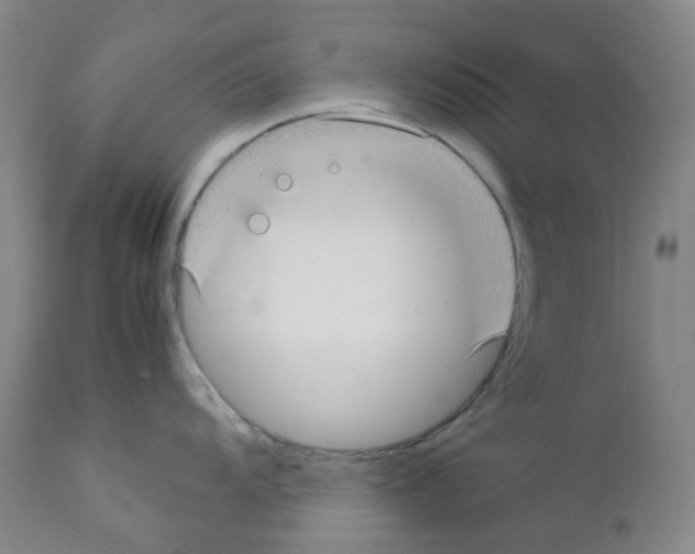 X0000111781104200909031127