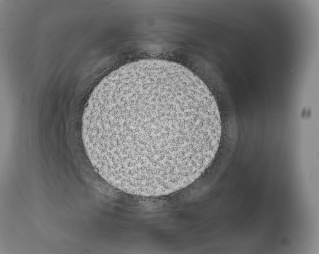 X0000111781105200909031126